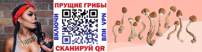Галлюциногенные грибы GOLDEN TEACHER  Шатура 
